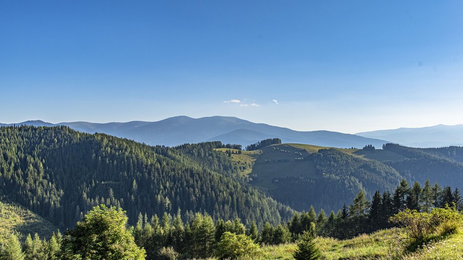 Hiking Route Steinplan-Runde von Kleinlobming - Touren-Impression #2.4 | © TourismusamSpielberg
