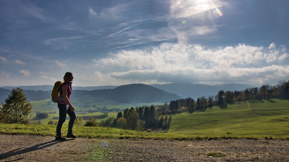 Pilgrim Walk Etappe 4 - Mariazeller Gründerweg - Touren-Impression #2.1 | © Weges OG