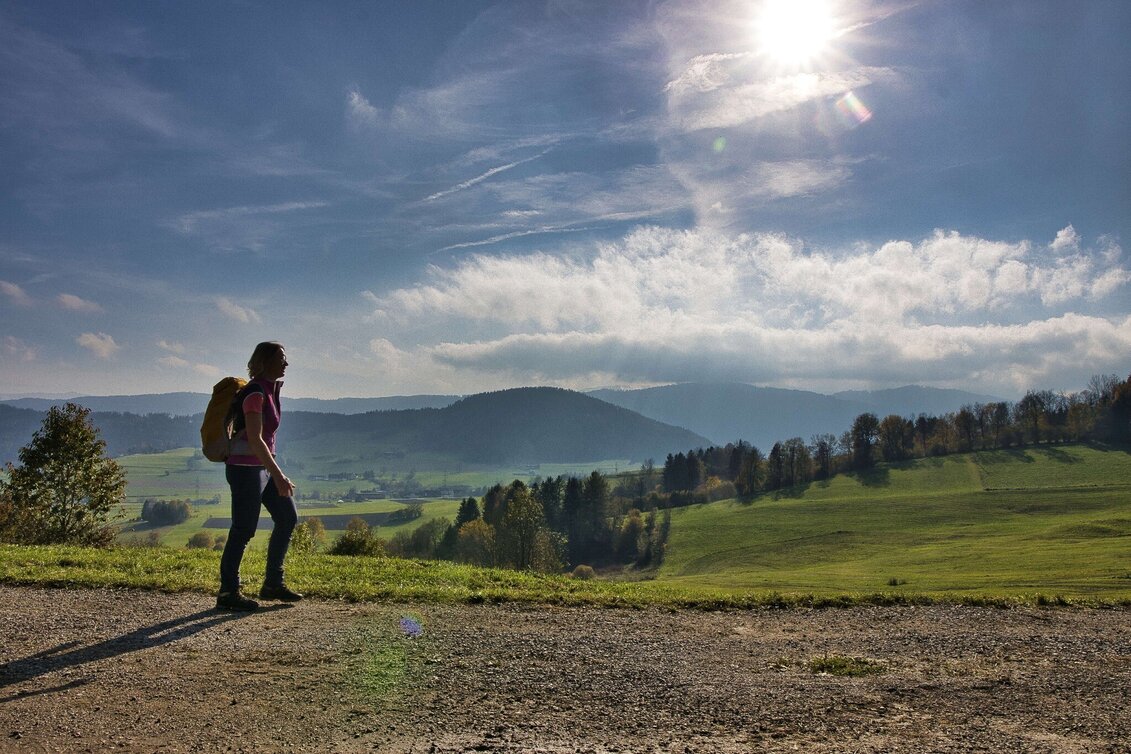 Pilgrim Walk Etappe 4 - Mariazeller Gründerweg - Touren-Impression #1 | © Weges OG