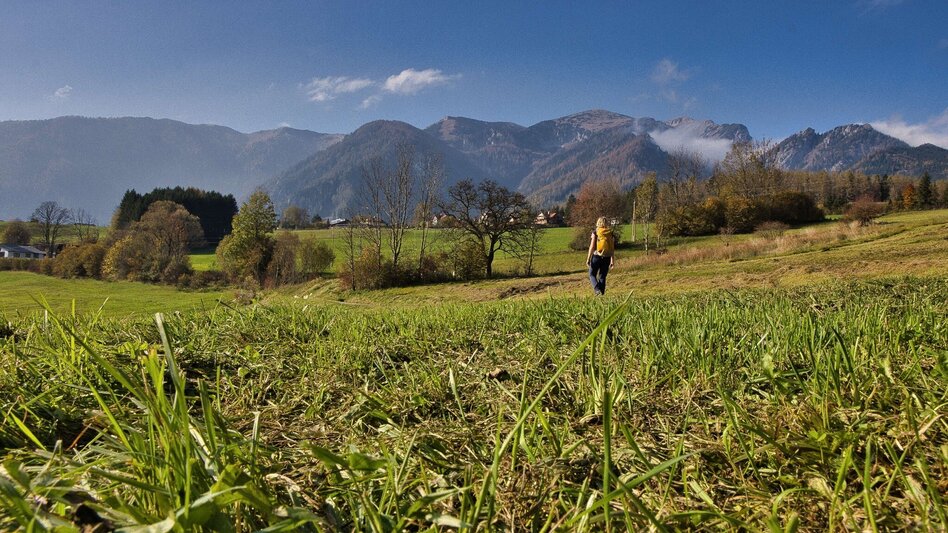 Pilgrim Walk Etappe 4 - Mariazeller Gründerweg - Touren-Impression #2.8 | © Weges OG