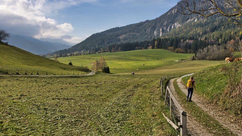 Pilgrim Walk Etappe 4 - Mariazeller Gründerweg - Touren-Impression #2.12 | © Weges OG