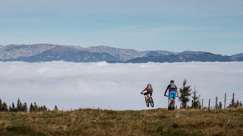 Mountainbike Hochanger Rundtour - Touren-Impression #2.1 | © Tourismusverband Hochsteiermark
