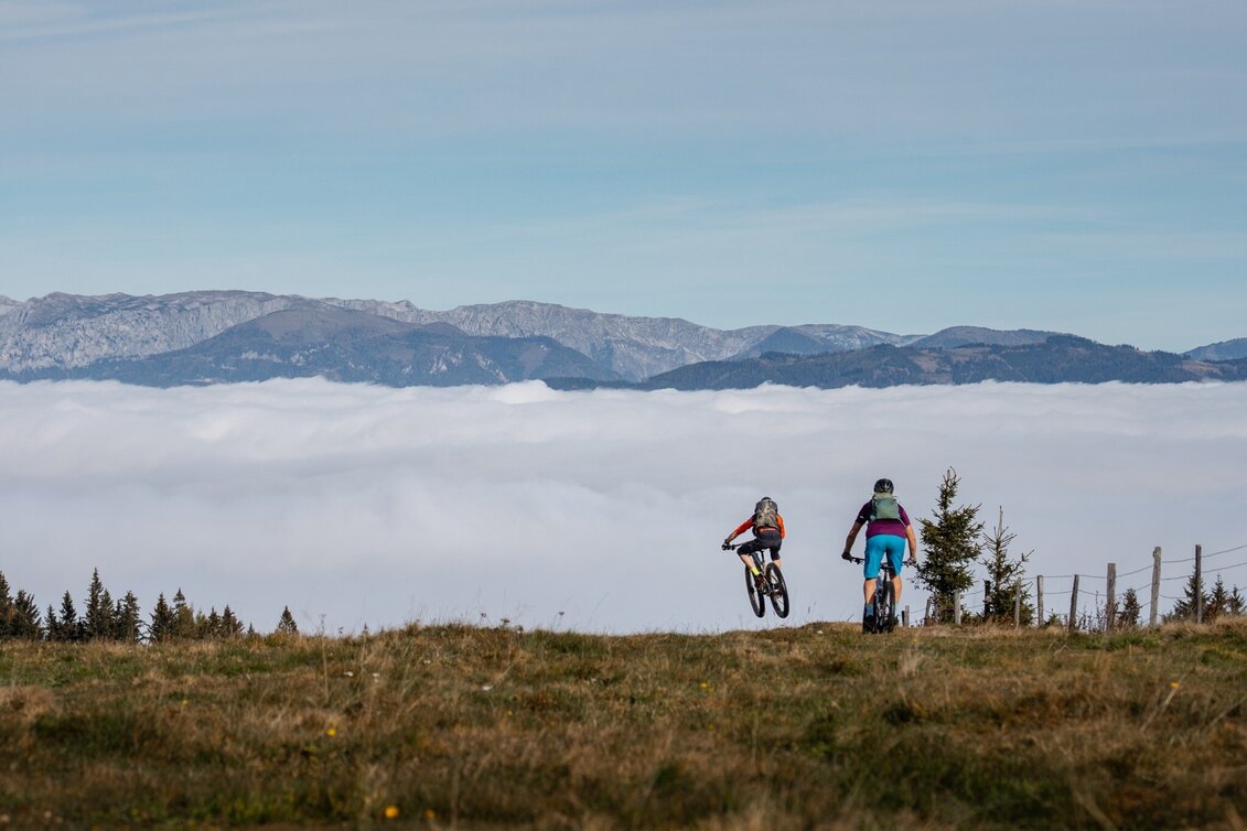 Mountainbike Hochanger Rundtour - Touren-Impression #1 | © Tourismusverband Hochsteiermark