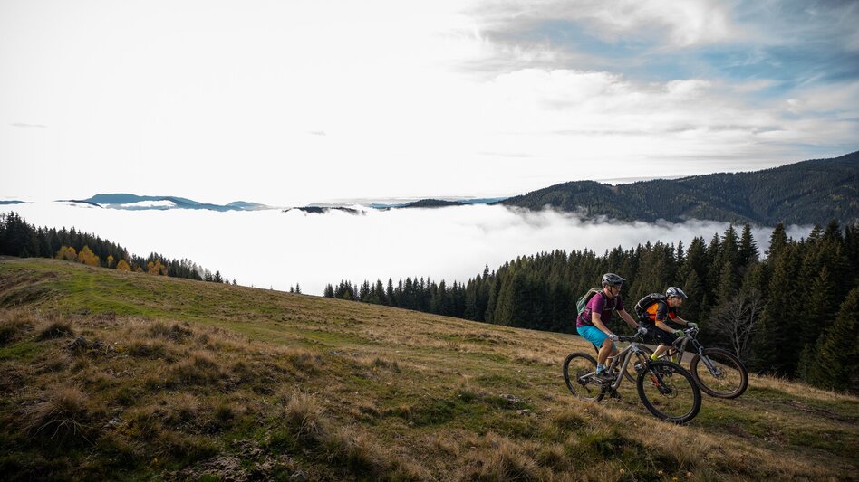 Mountainbike Hochanger Rundtour - Touren-Impression #2.4 | © Tourismusverband Hochsteiermark