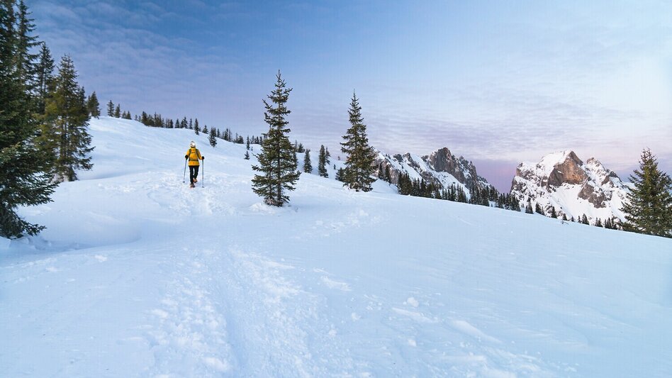 Skitour Lahngangkogel im Winter - Touren-Impression #2.3