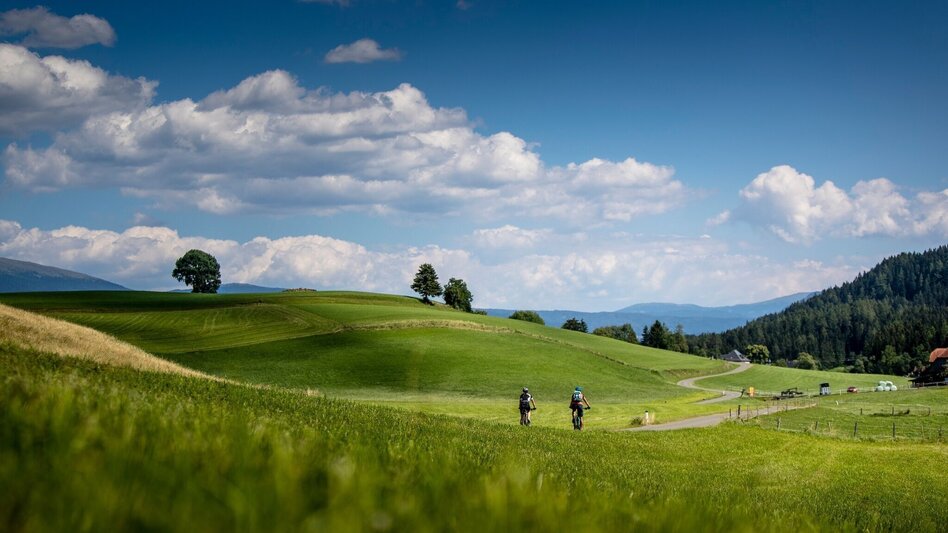 Radfahren Wölzer Radweg R17 - Touren-Impression #2.4 | © Tourismusverband Murau