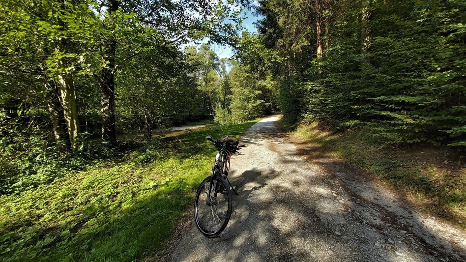 Cycling R11a Route Mitterdorf - Touren-Impression #2.1 | © Oststeiermark Tourismus