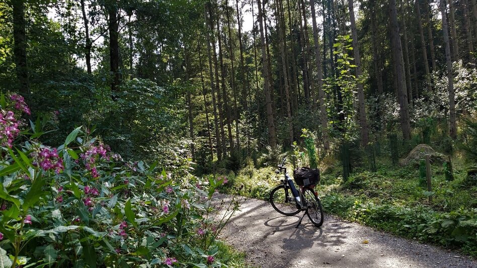 Cycling R11a Route Mitterdorf - Touren-Impression #2.4 | © Oststeiermark Tourismus