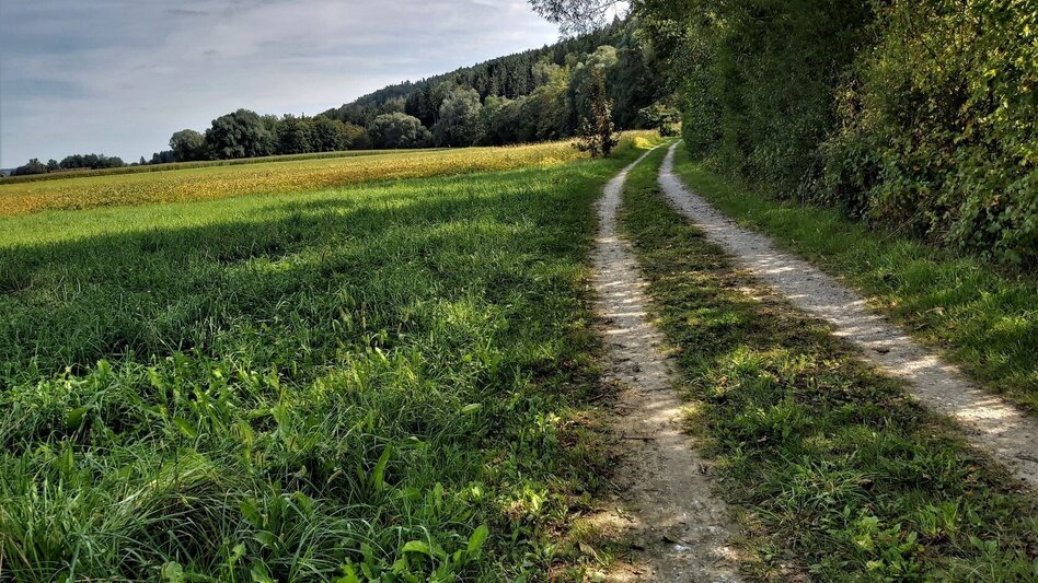 Cycling R11a Route Mitterdorf - Touren-Impression #2.5 | © Oststeiermark Tourismus