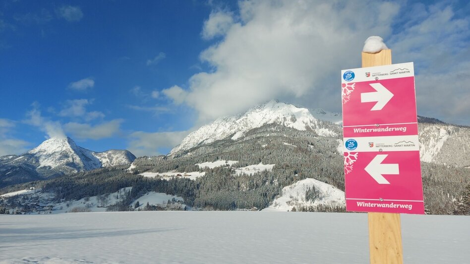 Winter Hiking Winter hiking trail Mitterberg - Touren-Impression #2.1 | © Erlebnisregion Schladming-Dachstein