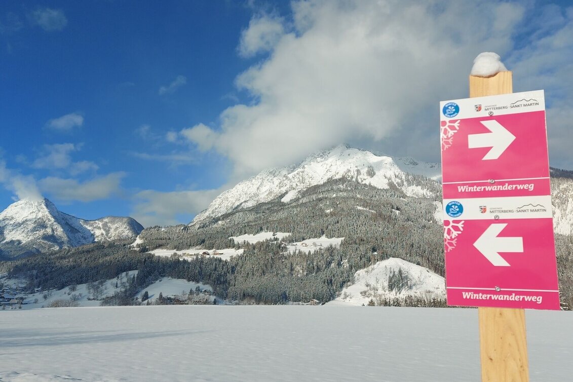 Winter Hiking Winter hiking trail Mitterberg - Touren-Impression #1 | © Erlebnisregion Schladming-Dachstein