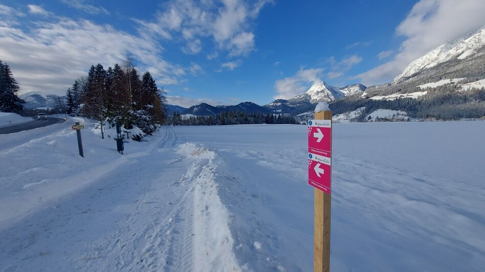 Winter Hiking Winter hiking trail Mitterberg - Touren-Impression #2.2 | © Erlebnisregion Schladming-Dachstein