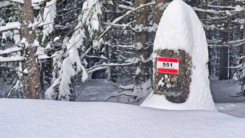 Snowshoe Walking Snowshoe hike Freiländeralm - Touren-Impression #2.3 | © TVB Südsteiermark/Weges OG