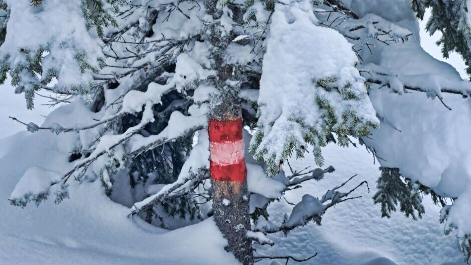 Snowshoe Walking Snowshoe hike Freiländeralm - Touren-Impression #2.4 | © Weges OG