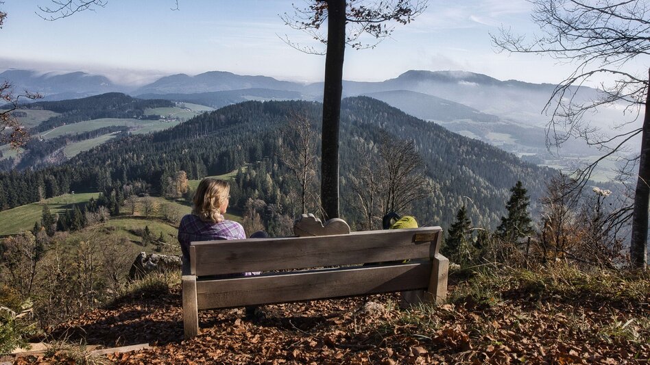 Wanderung Etappe 1 Grazer Bergland Wanderweg:  Peggau – Frohnleiten - Touren-Impression #2.2 | © Weges OG
