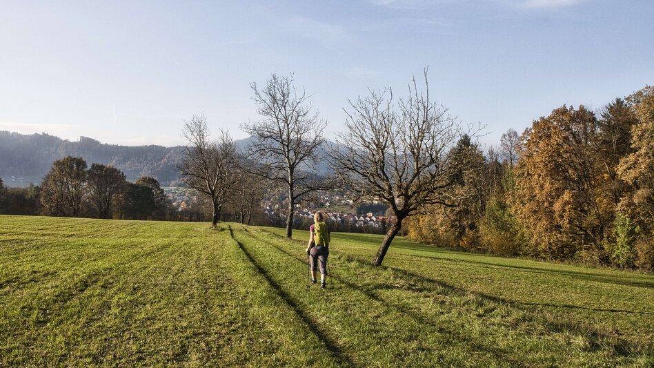 Wanderung Etappe 1 Grazer Bergland Wanderweg:  Peggau – Frohnleiten - Touren-Impression #2.6 | © Weges OG