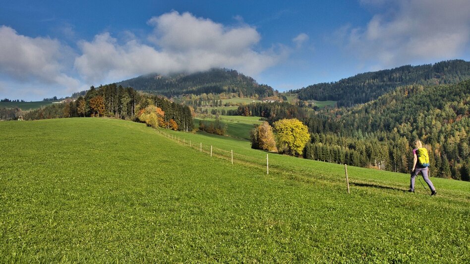 Wanderung Etappe 1 Grazer Bergland Wanderweg:  Peggau – Frohnleiten - Touren-Impression #2.8 | © Weges OG