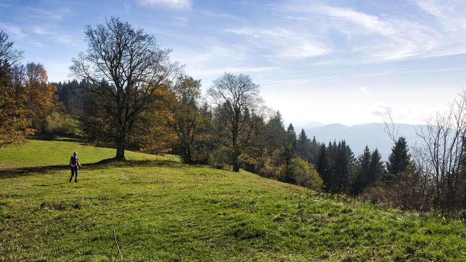Wanderung Etappe 1 Grazer Bergland Wanderweg:  Peggau – Frohnleiten - Touren-Impression #2.9 | © Weges OG