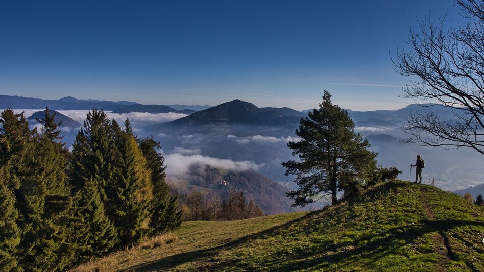 Wanderung Etappe 2 Grazer Bergland Wanderweg: Frohnleiten – Übelbach - Touren-Impression #2.2 | © Weges OG