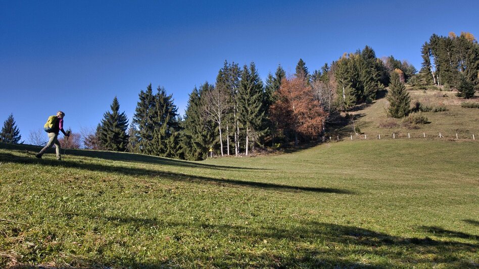 Wanderung Etappe 2 Grazer Bergland Wanderweg: Frohnleiten – Übelbach - Touren-Impression #2.9 | © Weges OG