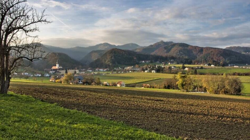 Wanderung Etappe 4 Grazer Bergland Wanderweg: Stübing - Gratwein - Touren-Impression #2.5 | © Weges OG