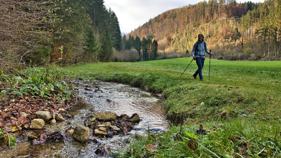 Wanderung Etappe 4 Grazer Bergland Wanderweg: Stübing - Gratwein - Touren-Impression #2.6 | © Weges OG