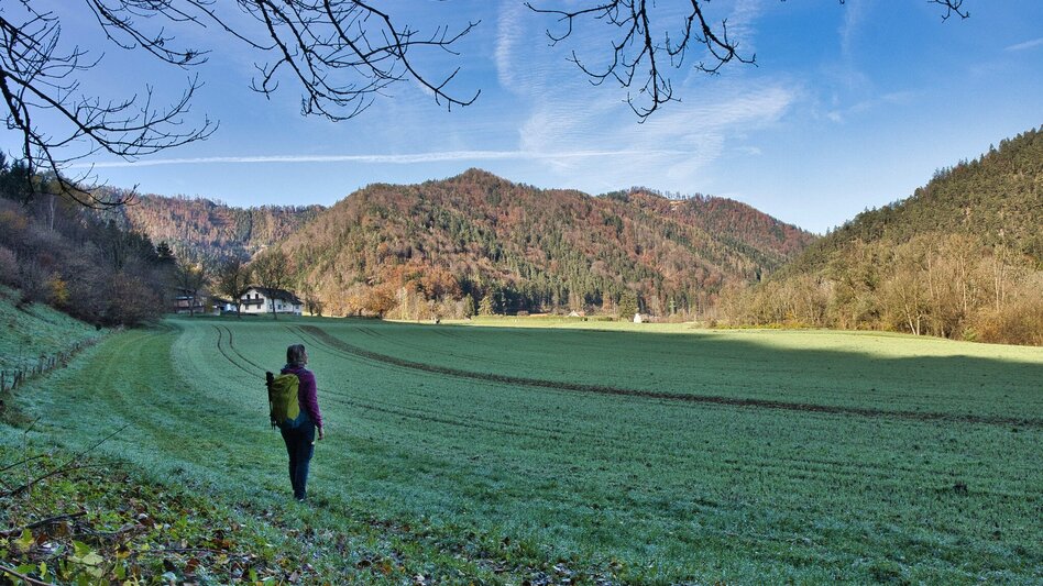 Wanderung Etappe 4 Grazer Bergland Wanderweg: Stübing - Gratwein - Touren-Impression #2.8 | © Weges OG
