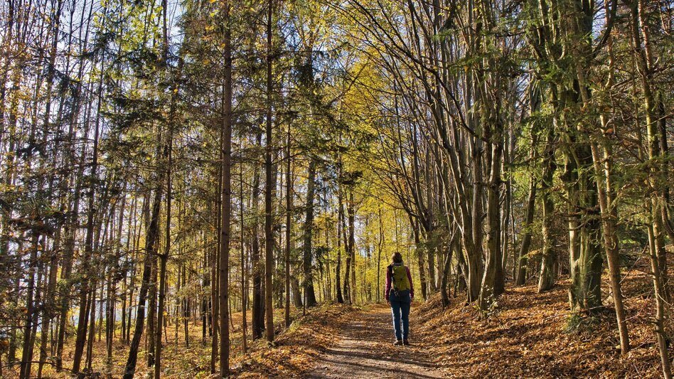 Hiking Route Stage 5 Grazer Bergland Hiking Trail: Gratwein – Judendorf-Straßengel - Touren-Impression #2.3 | © Weges OG