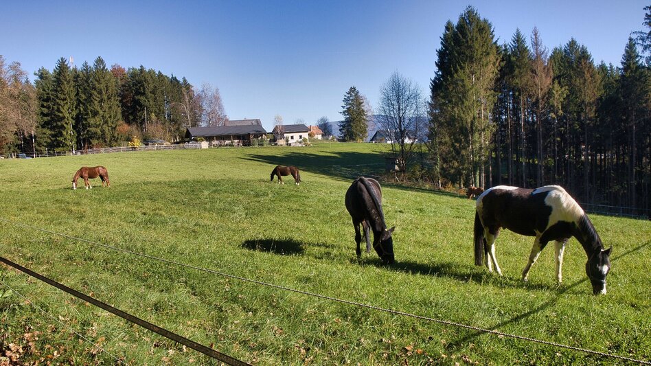 Hiking Route Stage 5 Grazer Bergland Hiking Trail: Gratwein – Judendorf-Straßengel - Touren-Impression #2.4 | © Weges OG