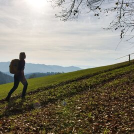 Aussichtsreicher Aufstieg | © Weges OG