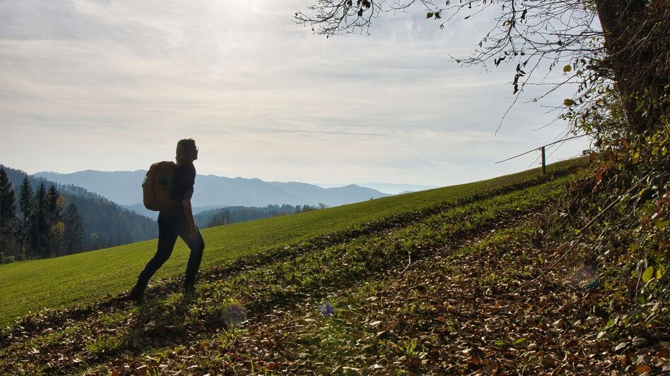 Wanderung Etappe 6 Grazer Bergland Wanderweg: Gratkorn – Stübing - Touren-Impression #2.1 | © Weges OG