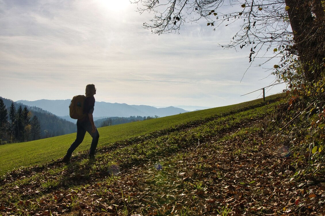 Wanderung Etappe 6 Grazer Bergland Wanderweg: Gratkorn – Stübing - Touren-Impression #1 | © Weges OG