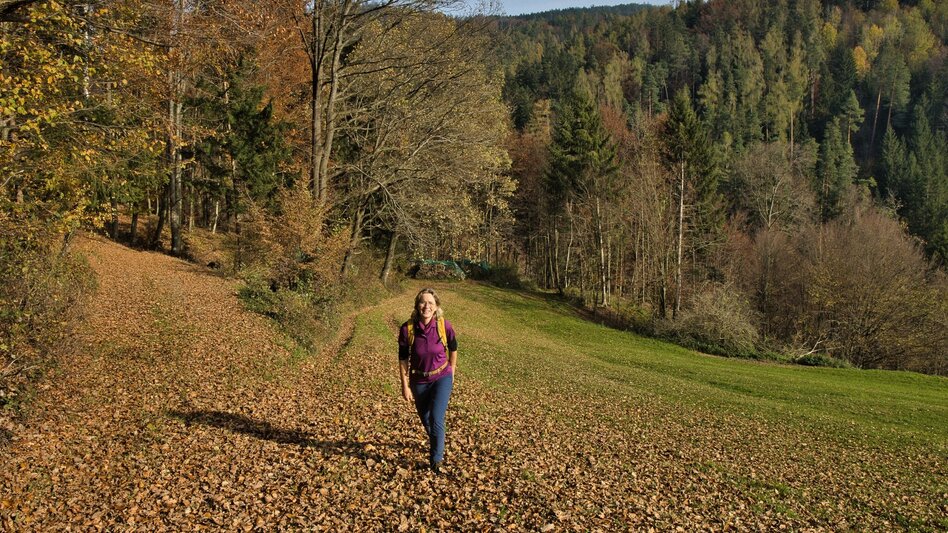 Wanderung Etappe 6 Grazer Bergland Wanderweg: Gratkorn – Stübing - Touren-Impression #2.5 | © Weges OG