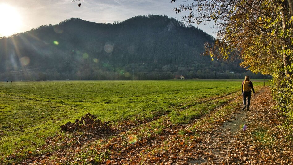 Wanderung Etappe 6 Grazer Bergland Wanderweg: Gratkorn – Stübing - Touren-Impression #2.6 | © Weges OG