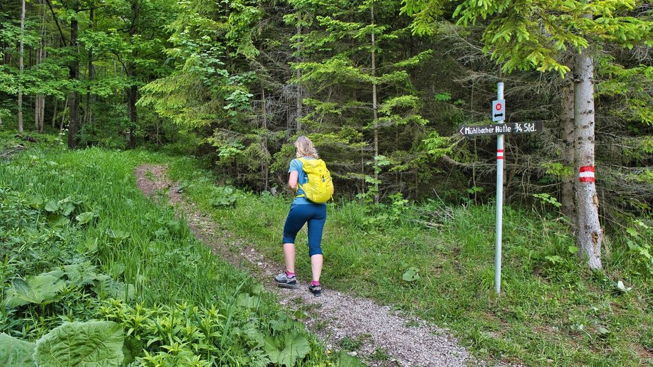 Hiking Route Mühlbacherhütte - Kaschlsteig - Touren-Impression #2.3 | © Weges OG