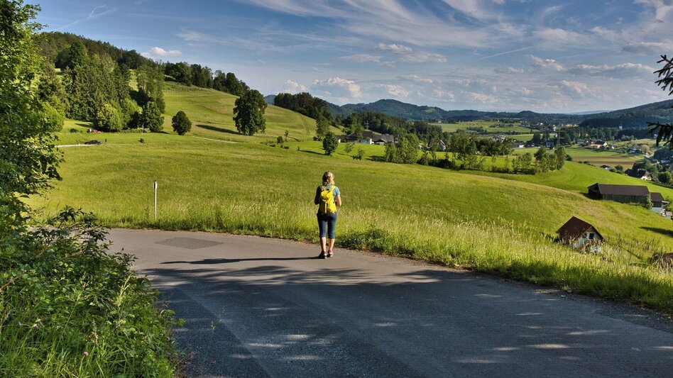 Hiking Route Mühlbacherhütte - Kaschlsteig - Touren-Impression #2.8 | © Weges OG