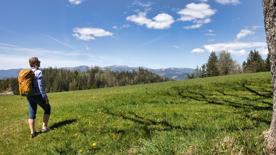 Hiking Route Rein - Plesch - Kogelleitenweg / Planung - Touren-Impression #2.9 | © Weges OG