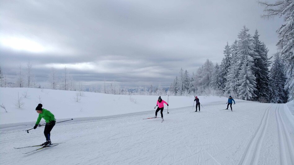 Ski-Nordic Skating Kluglift Runde - Touren-Impression #2.2