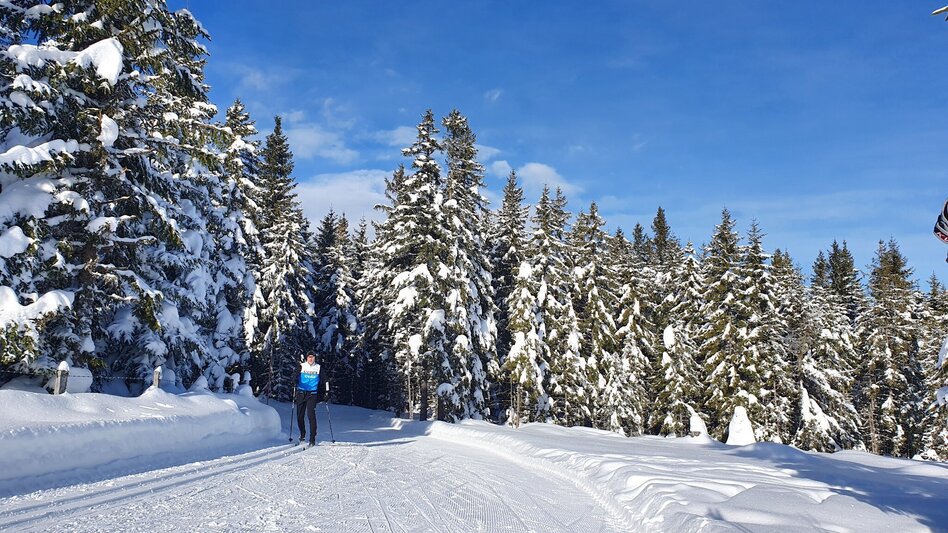 Ski-Nordic Skating Kluglift Runde - Touren-Impression #2.3