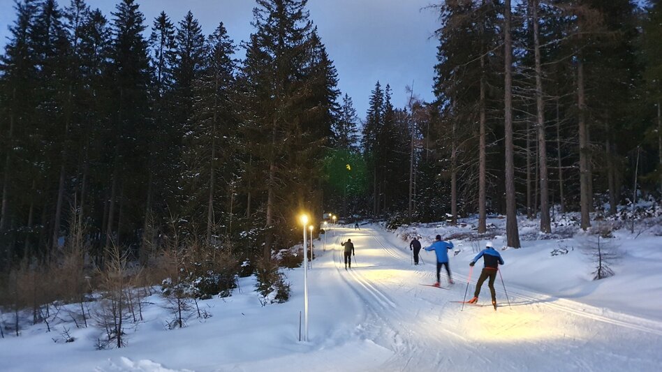 Ski-Nordic Skating Seerunde - Touren-Impression #2.2