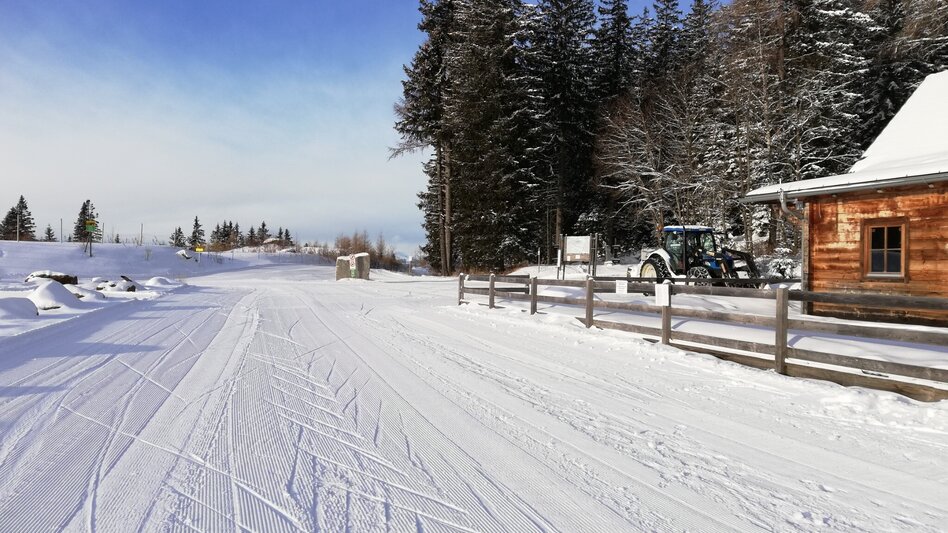 Ski-Nordic Skating Seerunde - Touren-Impression #2.4
