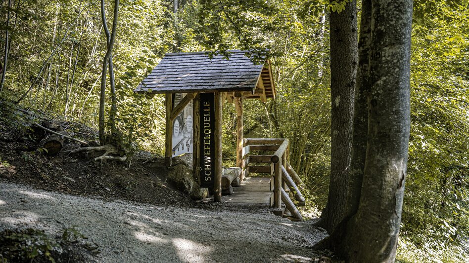 Hiking Route Walk to the Wörschach Sulphur Springs - Touren-Impression #2.4