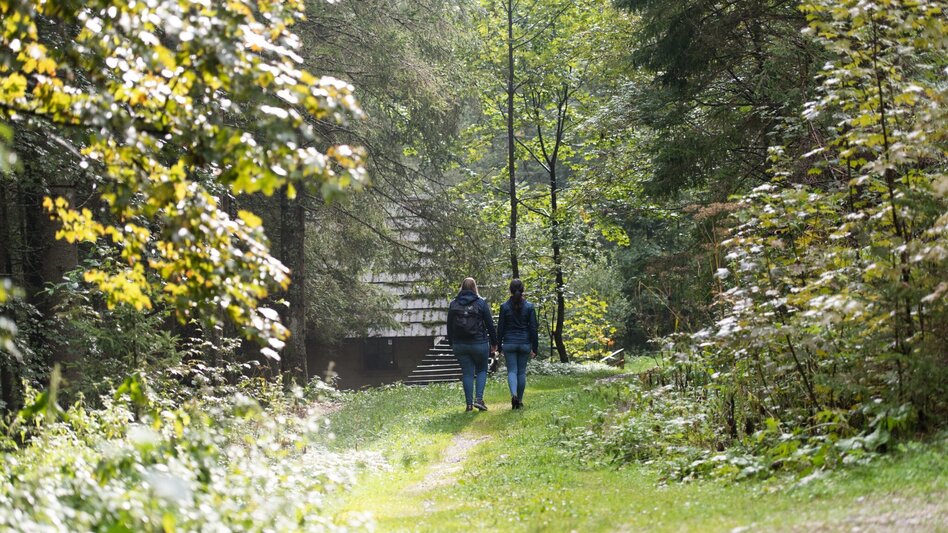 Hiking Route Von der Waldheimhütte nach St. Wolfgang - Touren-Impression #2.5 | © ANITA_FOESSL