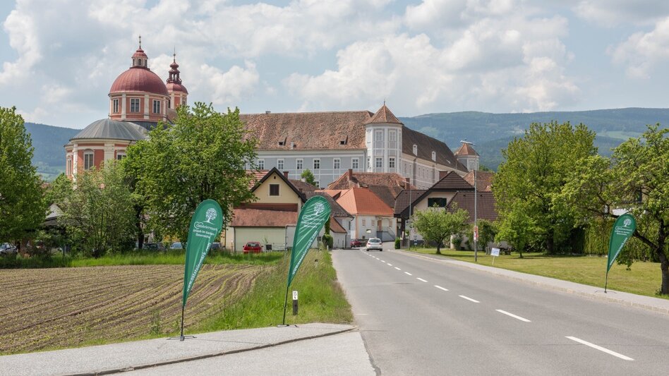 Road Cycling Christoph Strasser Loop - Touren-Impression #2.5