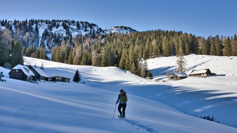Winter Hiking Schwarzbeeralm, - Touren-Impression #2.1 | © Weges OG
