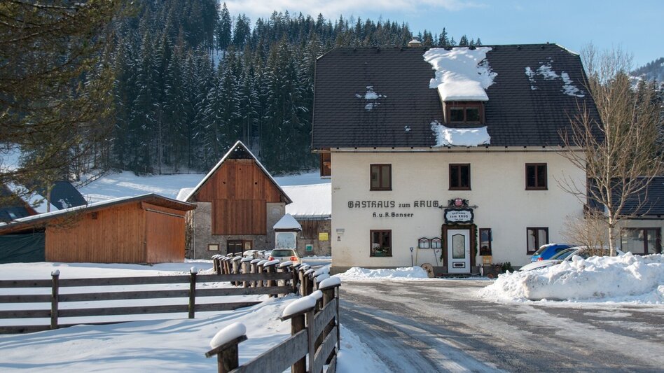 Langlauf Skating Hausloipe Hinterwildalpen - Touren-Impression #2.3 | © TV Gesäuse