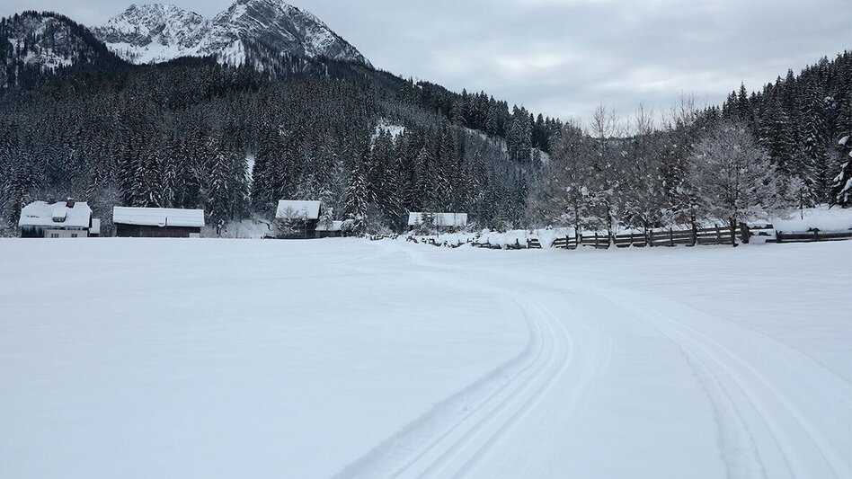 Langlauf Skating Hausloipe Hinterwildalpen - Touren-Impression #2.4 | © TV Gesäuse