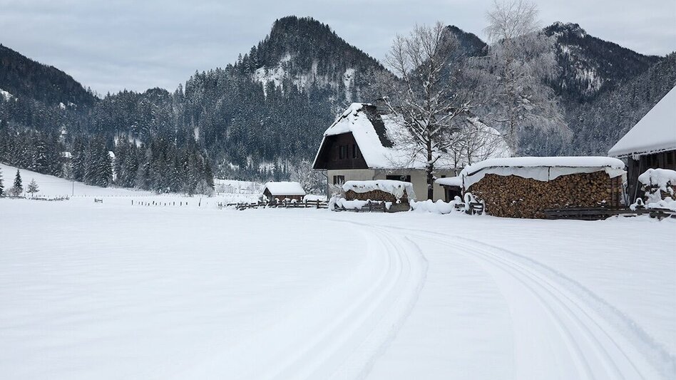 Langlauf Skating Hausloipe Hinterwildalpen - Touren-Impression #2.5 | © TV Gesäuse