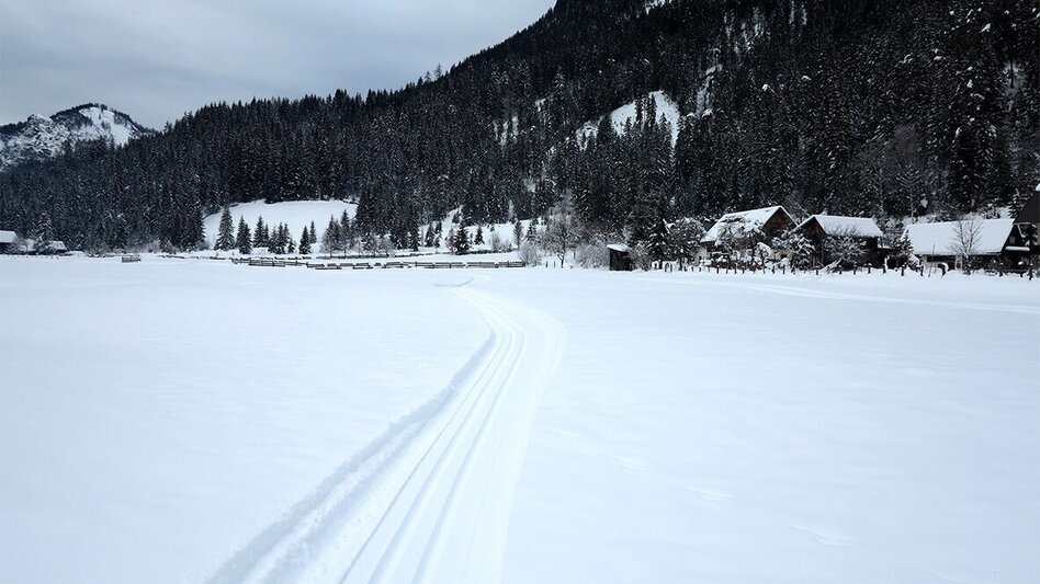 Langlauf Skating Sunnseitenloipe Hinterwildalpen - Touren-Impression #2.2 | © TV Gesäuse