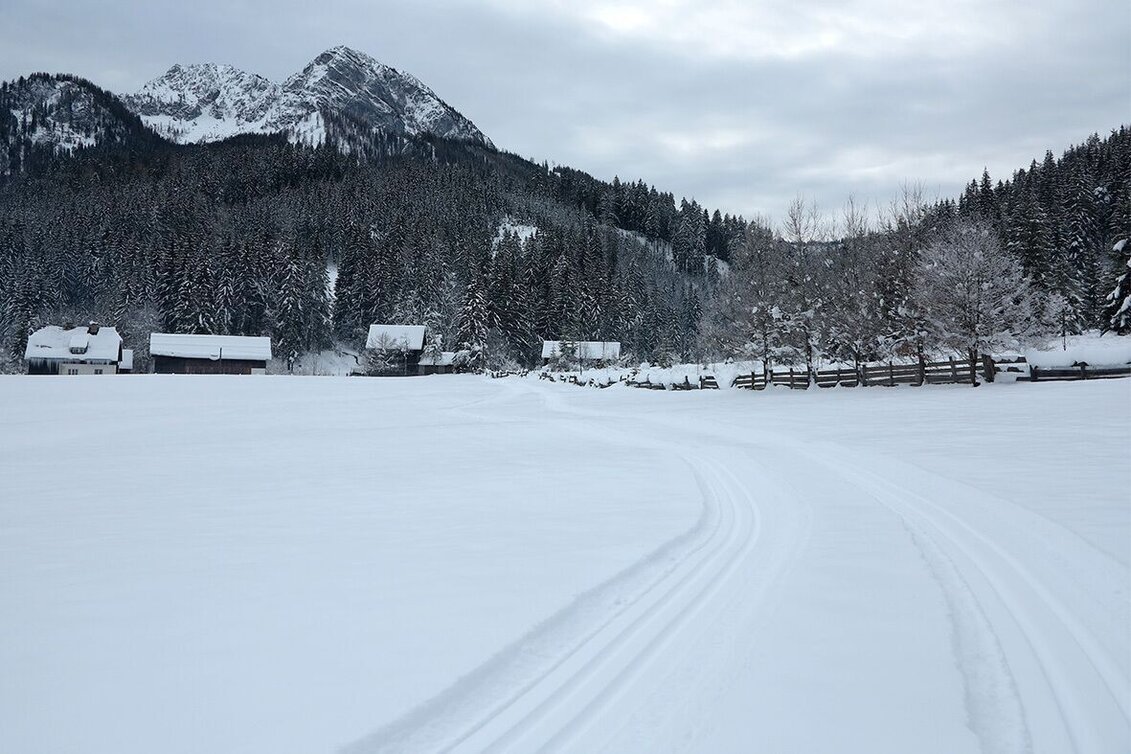 Langlauf Skating Panoramaloipe Hinterwildalpen - Touren-Impression #1 | © TV Gesäuse